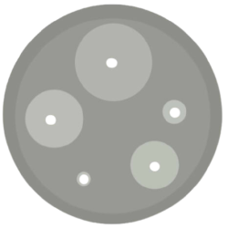 Les bases de l'antibiogramme vétérinaire